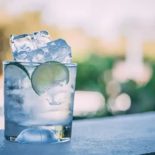 Gin Tonic servido en vaso con hielo y rodaja de pepino
