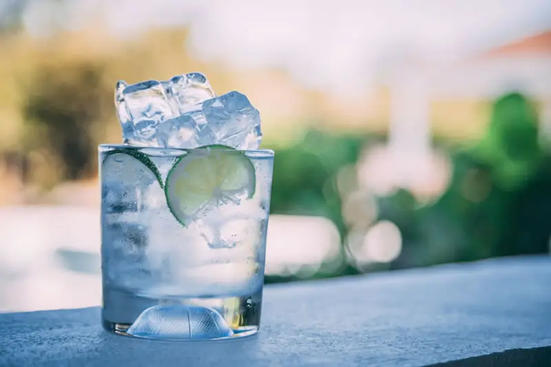 Gin Tonic servido en vaso con hielo y rodaja de pepino
