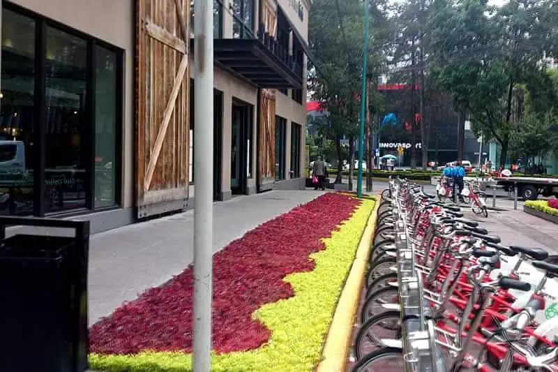 Tienda Departamental en Polanco cdmx