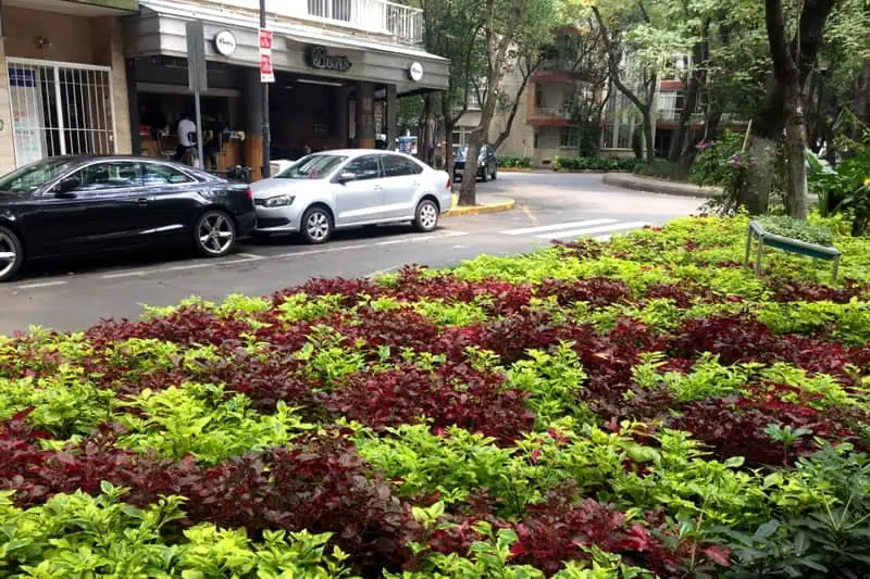 Colonia Condesa CDMX