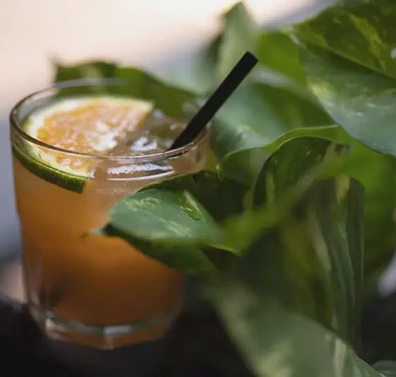 Mai Tai: El cóctel Que Nació Para Presumir el Ron (y Con Razón)