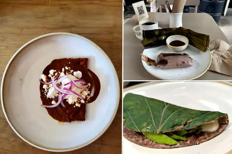 Molino El Pujol: Entre la Mística del Maíz y el Marketing Gourmet Restaurante Molino El Pujol platillos